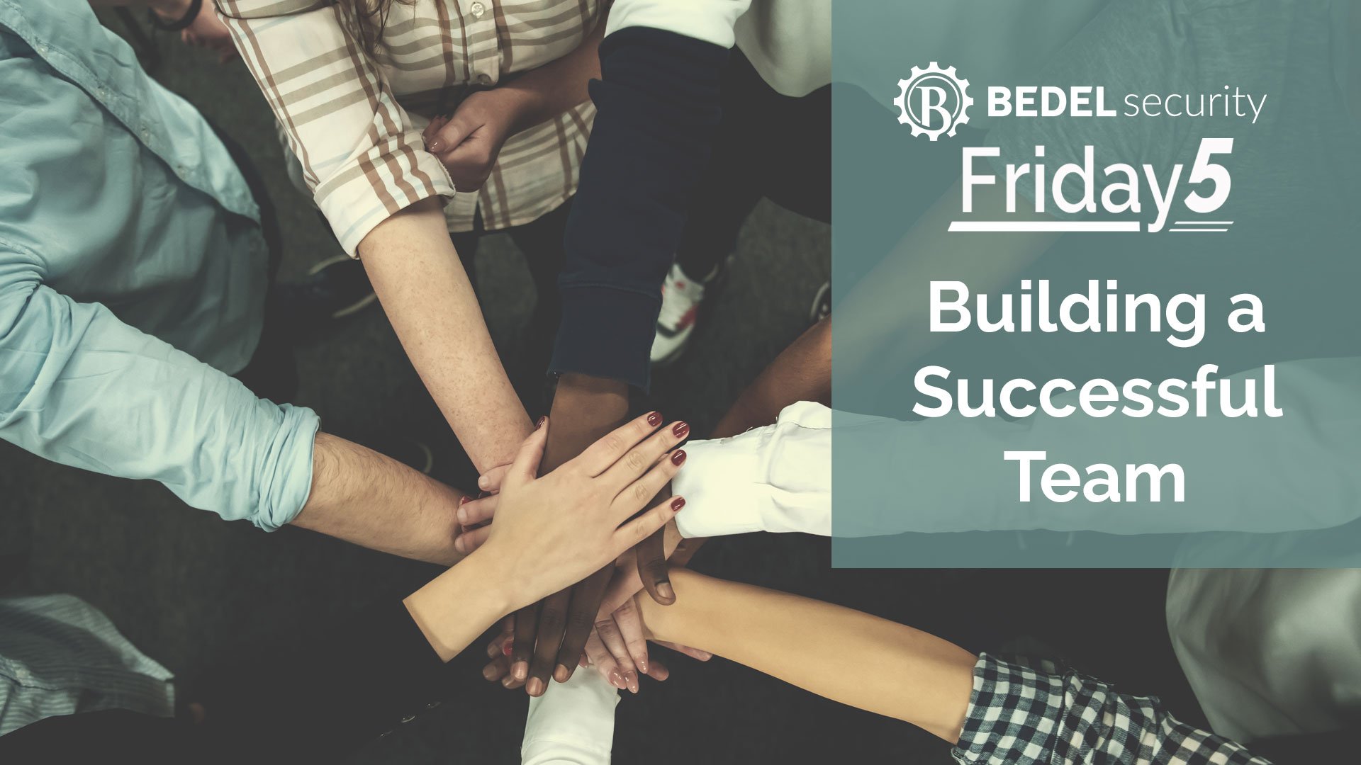 Building a Successful Team